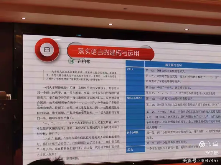 百步穿杨打一正确生肖,警惕虚假宣传,构建解答解释落实
