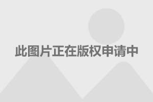 左顧右盼，東張西望。過目不忘有膽識打一生肖详细解答、解释与落实、全面解答解释落实