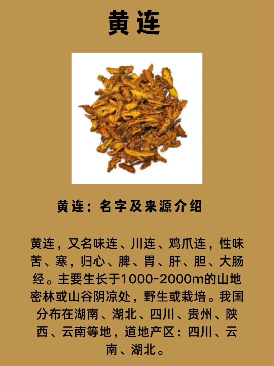 谁言忆苦可思甜，犹似哑子吃黄莲打一正确生肖,警惕虚假宣传、全面解答、时代解答解释落实