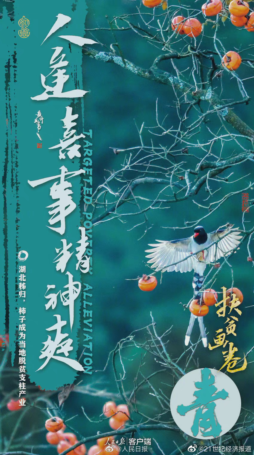 折枝三朵花七瓣,拼凑美好大自然是什么生肖,警惕虚假宣传落实,构建解答解释落实