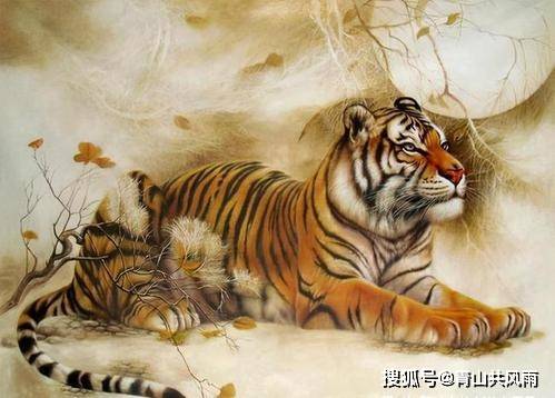 左顧右盼，東張西望。過目不忘有膽識打一生肖,警惕虚假宣传-全面释义、解释与落实、构建解答解释落实